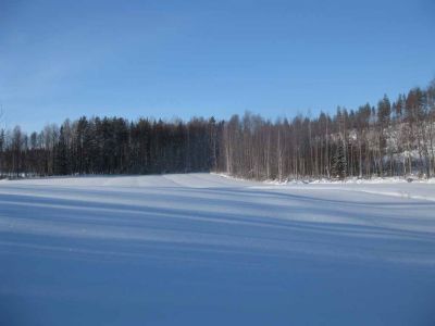 107talvi.jpg