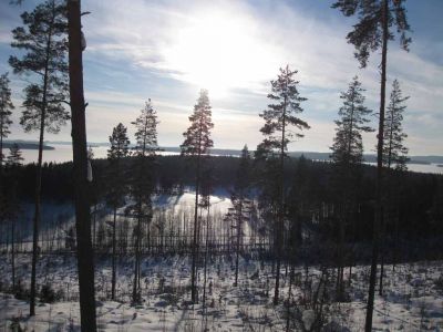 151talvi.jpg