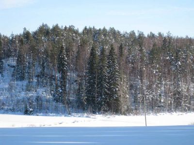 69talvi.jpg