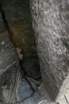 kiereportaat
olipa mukavan helppokulkuiset..
