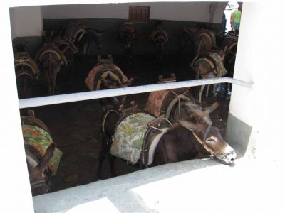 taxi asema
Aasi taxi asema
