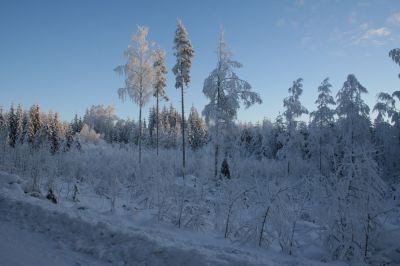 talvi06015.JPG