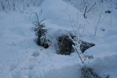 talvi06031.JPG