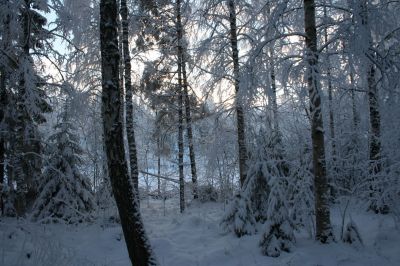 talvi06069.JPG
