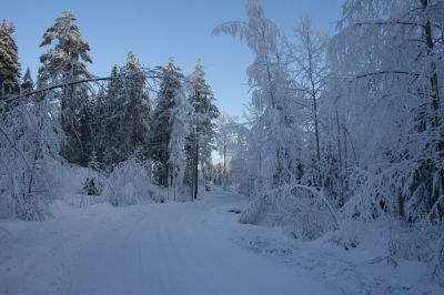 talvi06075.JPG