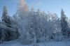 talvi06021.JPG