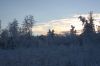 talvi06063.JPG